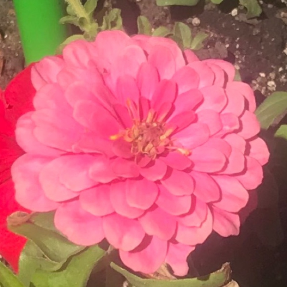 Meet your Posher, Mar